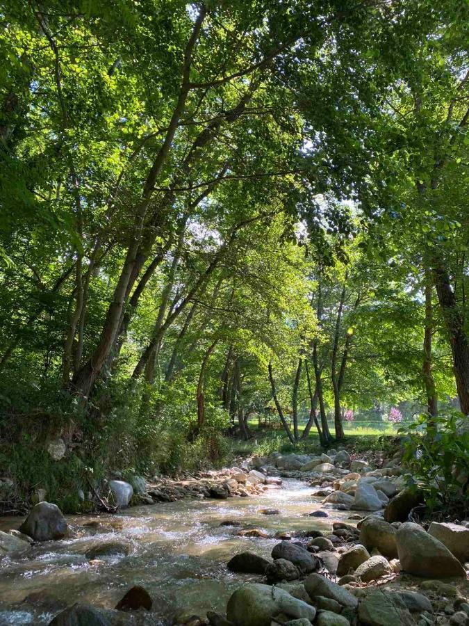Rechen Rai Melnik (Blagoevgrad)